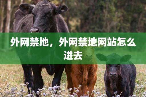 外网禁地，外网禁地网站怎么进去