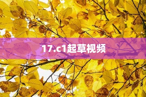 17.c1起草视频