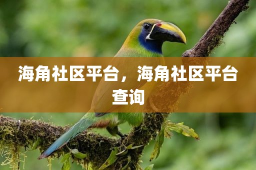 海角社区平台，海角社区平台查询