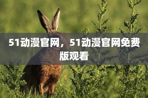 51动漫官网，51动漫官网免费版观看