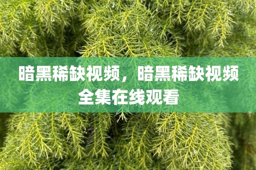 暗黑稀缺视频，暗黑稀缺视频全集在线观看