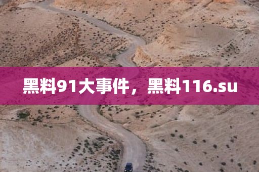 黑料91大事件，黑料116.su