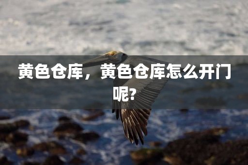黄色仓库，黄色仓库怎么开门呢?