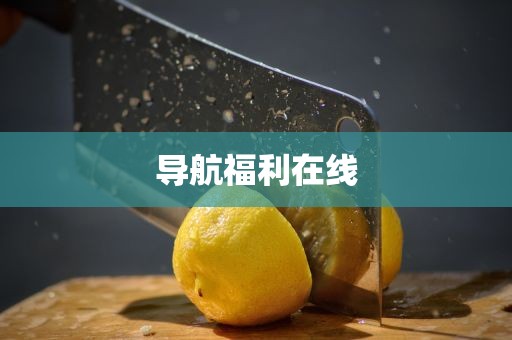 导航福利在线