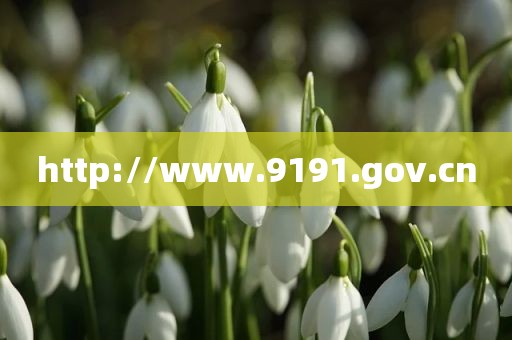 http://www.9191.gov.cn