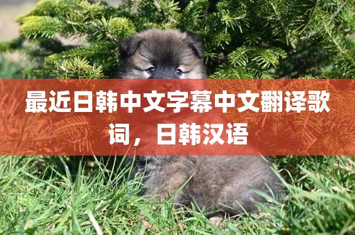 最近日韩中文字幕中文翻译歌词，日韩汉语