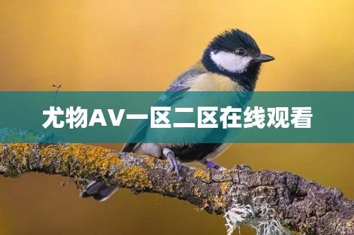 尤物AV一区二区在线观看