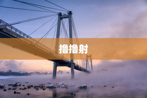撸撸射