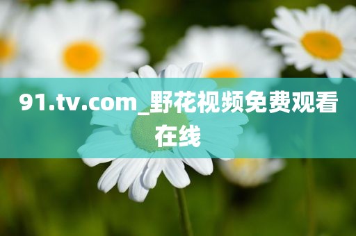91.tv.com_野花视频免费观看在线