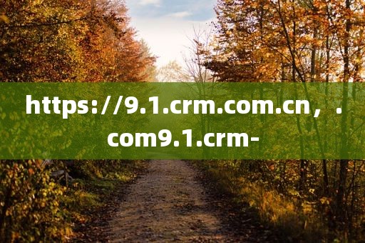 https://9.1.crm.com.cn，.com9.1.crm-