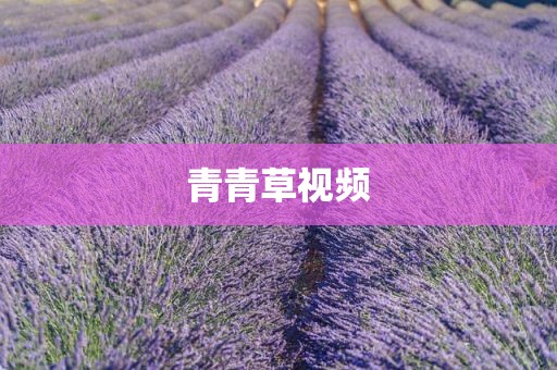 青青草视频