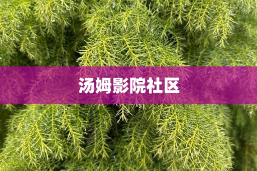 汤姆影院社区