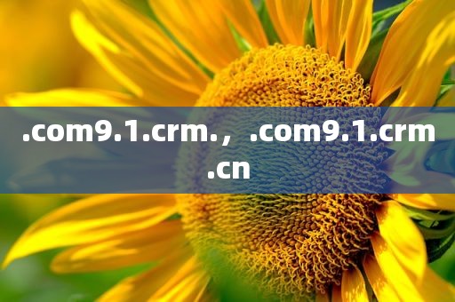 .com9.1.crm.，.com9.1.crm.cn