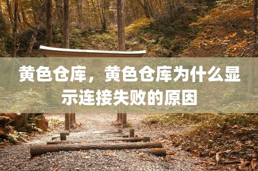 黄色仓库，黄色仓库为什么显示连接失败的原因