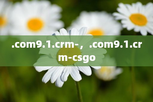.com9.1.crm-，.com9.1.crm-csgo