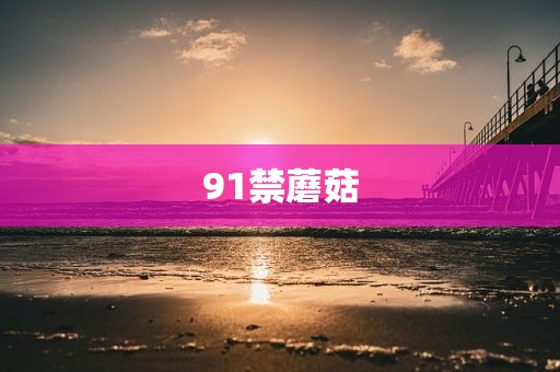 91禁蘑菇