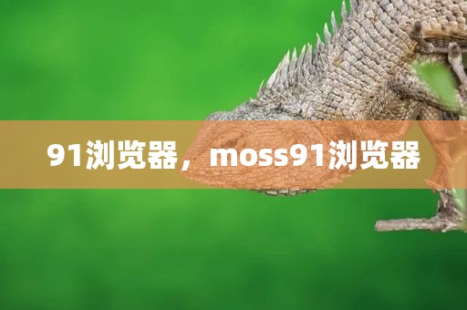 91浏览器，moss91浏览器