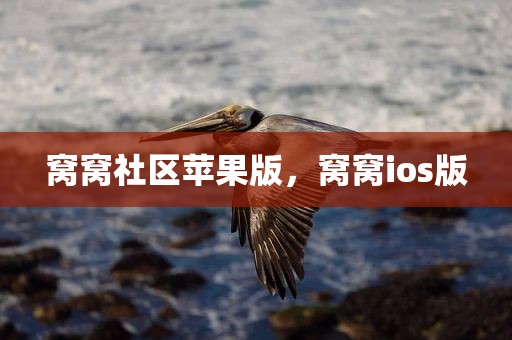 窝窝社区苹果版，窝窝ios版