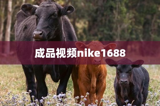 成品视频nike1688