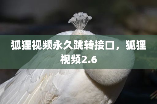 狐狸视频永久跳转接口，狐狸视频2.6