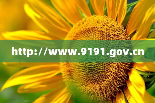 http://www.9191.gov.cn