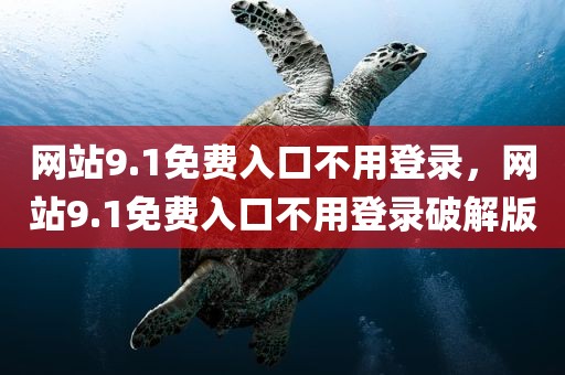 网站9.1免费入口不用登录，网站9.1免费入口不用登录破解版