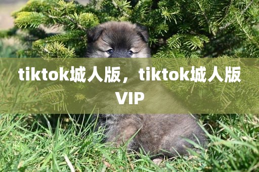 tiktok城人版，tiktok城人版VIP