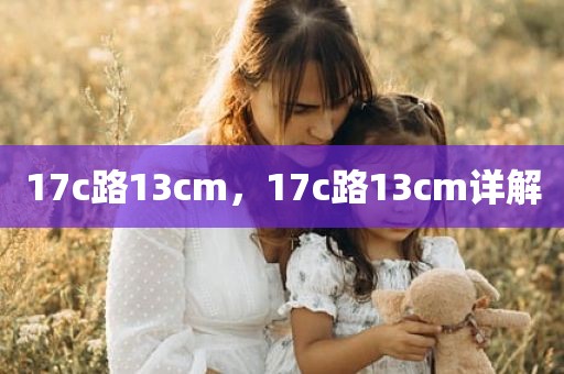 17c路13cm，17c路13cm详解