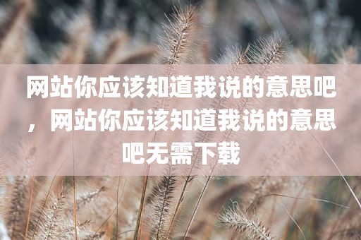 网站你应该知道我说的意思吧，网站你应该知道我说的意思吧无需下载