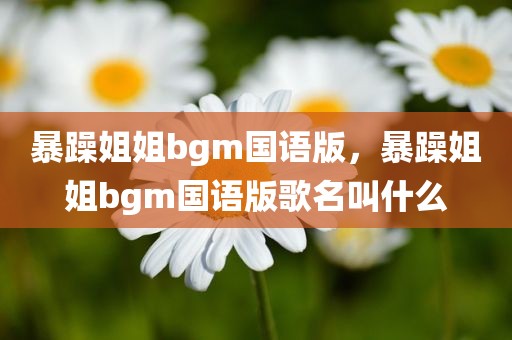 暴躁姐姐bgm国语版，暴躁姐姐bgm国语版歌名叫什么