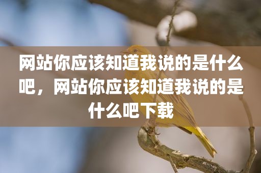网站你应该知道我说的是什么吧，网站你应该知道我说的是什么吧下载
