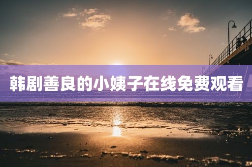 韩剧善良的小姨子在线免费观看