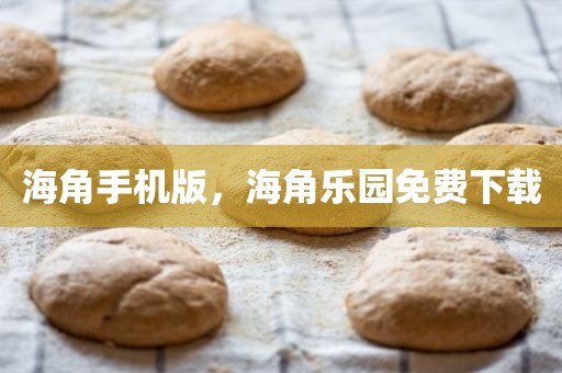 海角手机版，海角乐园免费下载