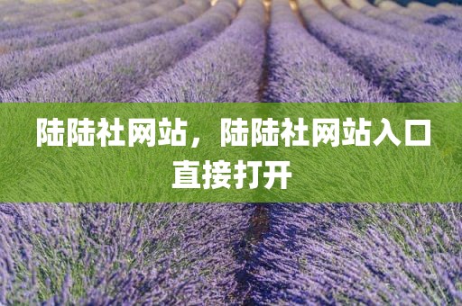 陆陆社网站，陆陆社网站入口直接打开