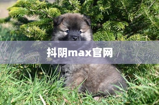 抖阴max官网