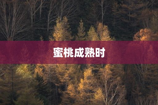 蜜桃成熟时