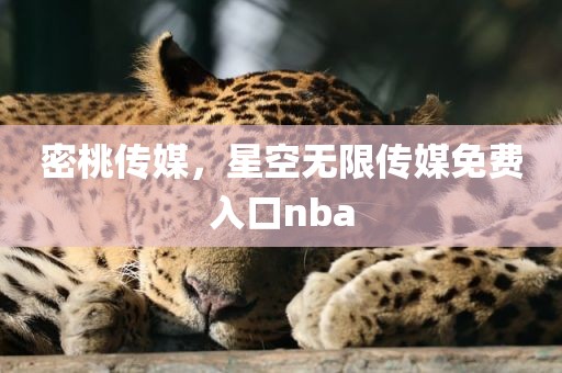密桃传媒，星空无限传媒免费入口nba