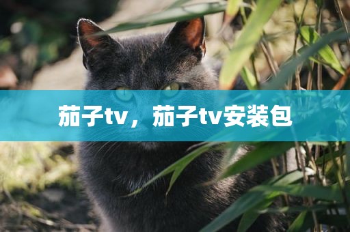 茄子tv，茄子tv安装包