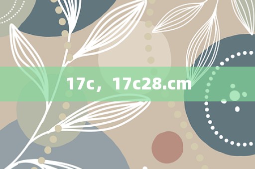 17c，17c28.cm