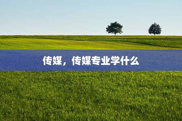 传媒，传媒专业学什么