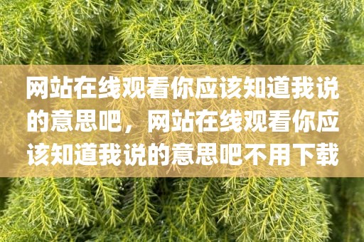 网站在线观看你应该知道我说的意思吧，网站在线观看你应该知道我说的意思吧不用下载