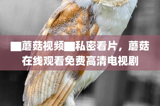▇蘑菇视频▇私密看片，蘑菇在线观看免费高清电视剧