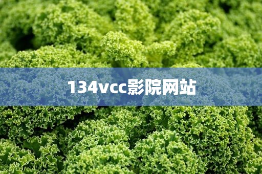134vcc影院网站