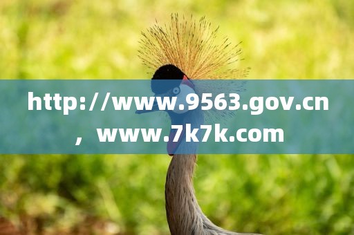 http://www.9563.gov.cn，www.7k7k.com