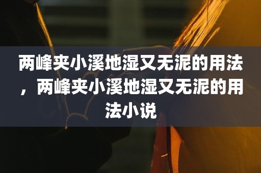 两峰夹小溪地湿又无泥的用法，两峰夹小溪地湿又无泥的用法小说