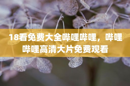 18看免费大全哔哩哔哩，哔哩哔哩高清大片免费观看