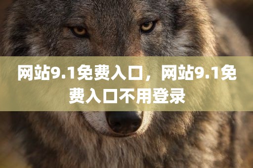网站9.1免费入口，网站9.1免费入口不用登录