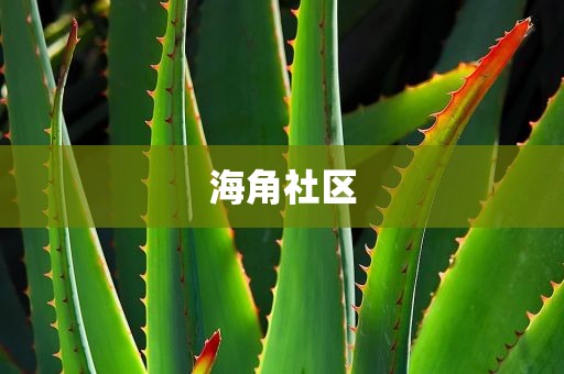 海角社区