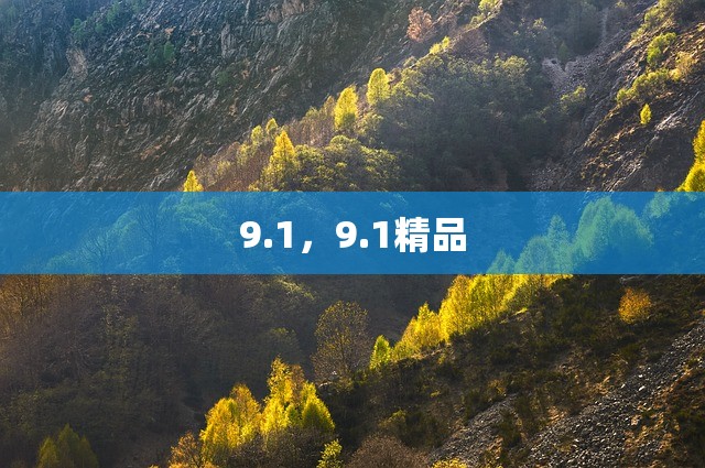 9.1，9.1精品