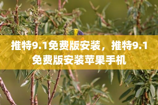 推特9.1免费版安装，推特9.1免费版安装苹果手机